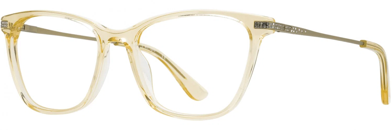 Cote DAzur CDA346 Eyeglasses - view 15